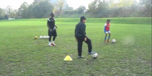 Montel AWC 2