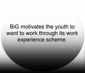 Work experience scheme